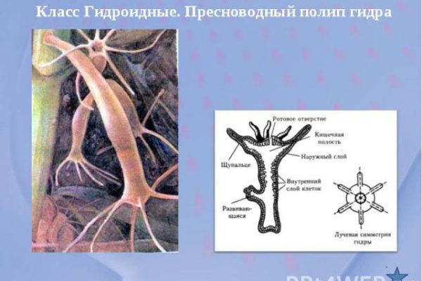 Кракен ссылка на рабочее зеркало