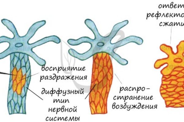 Кракен даркнет рабочая ссылка