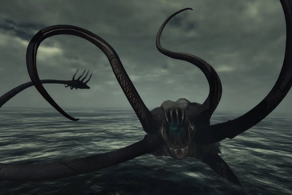 Kraken что это за магазин