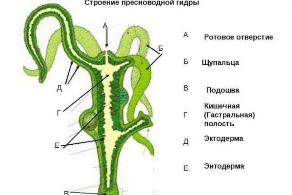 Где найти ссылку кракен